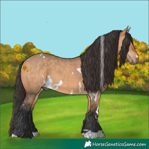 Horse Color:White Spotted Bay Dun 