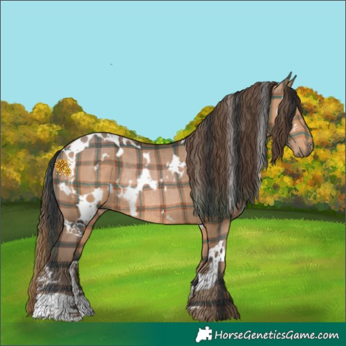 Horse Color:Plaid  White Spotted Brown Rabicano 
