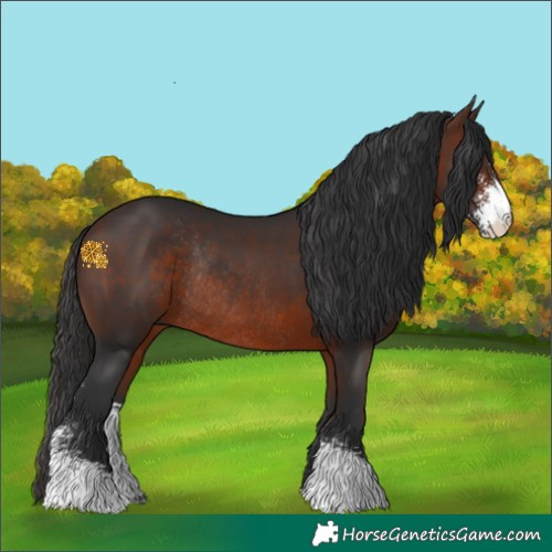 Horse Color:Brown Sabino Rabicano 