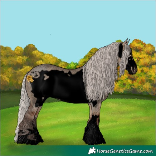 Horse Color:Void Silver Brown Roan Dun Frame 