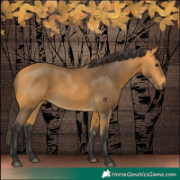 Horse Color:Buckskin 