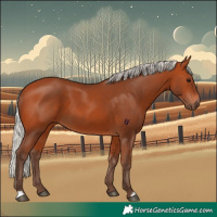 Horse Color:Silver Bay 