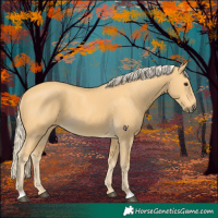 Horse Color:Palomino 