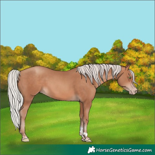 Horse Color:Silver Sable Champagne Tobiano 