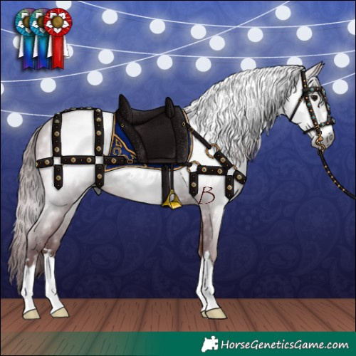 Horse Color:Gray Chocolate Black 