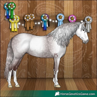 Horse Color:Gray Chocolate Black