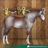 Horse Color:Gray Chocolate Black 