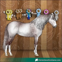 Horse Color:Gray Chocolate Black 