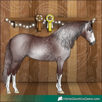Horse Color:Gray Chocolate Black
