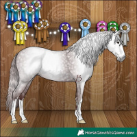 Horse Color:Gray Chocolate Black 