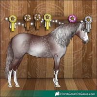 Horse Color:Gray Chocolate Black