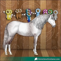 Horse Color:Gray Chocolate Black