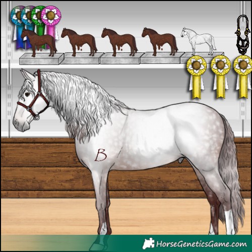 Horse Color:Gray Chocolate Brown 