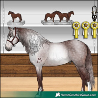 Horse Color:Gray Chocolate Brown 
