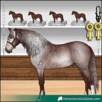 Horse Color:Gray Chocolate Brown 