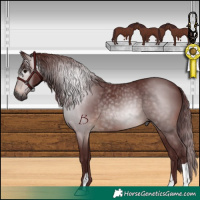 Horse Color:Gray Chocolate Brown 
