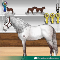 Horse Color:Gray Chocolate Brown 
