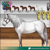 Horse Color:Gray Chocolate Brown 