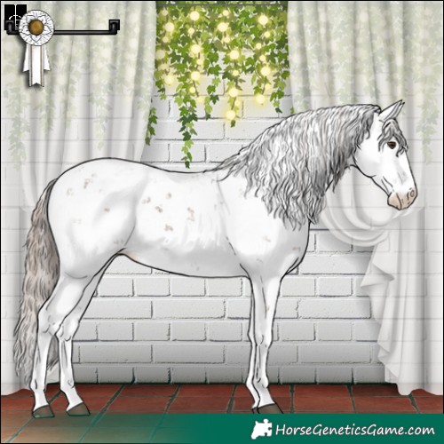 Horse Color:Liver Red Dun Sabino Rabicano 