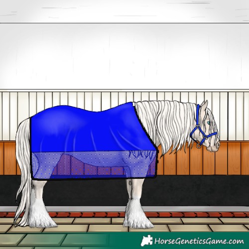 Horse Color:Cremello 