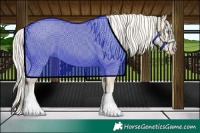Horse Color:Cremello 