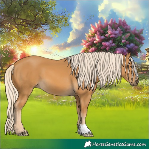 Horse Color:Palomino 