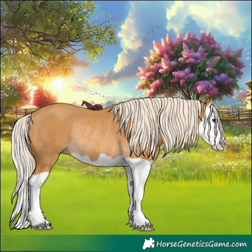 Horse Color:Palomino Splash Rabicano 