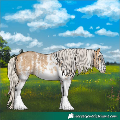 Horse Color:Silver Buckskin Sabino 