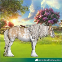 Horse Color:Silver Buckskin Sabino 