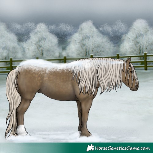 Horse Color:Silver Smoky Black 