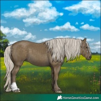 Horse Color:Silver Smoky Black