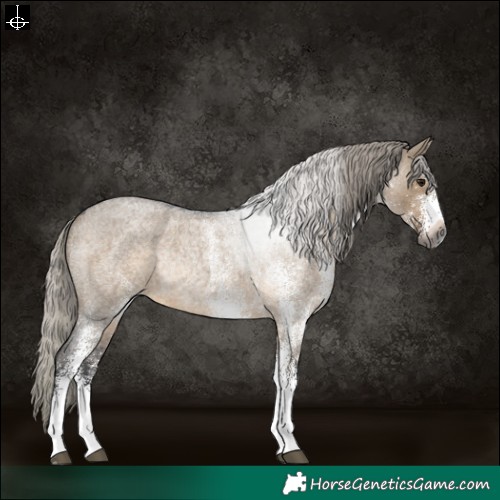 Horse Color:Gray White Spotted Silver Brown Roan Dun Rabicano 