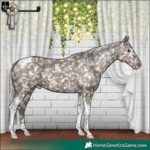 Horse Color:Silver Grullo Tobiano Snowflake VarnishBrindle 