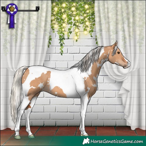 Horse Color:White Spotted Silver Bay Dun Tobiano 