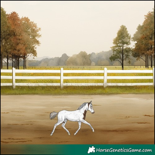Horse Color:Chocolate Palomino Splash Tobiano Frame Varnish 