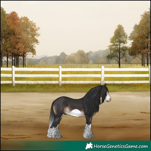 Horse Color:Brown Splash Frame 