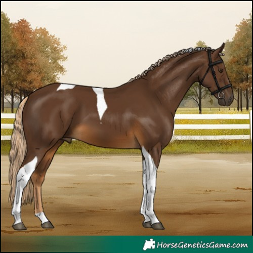 Horse Color:Chocolate Palomino Tobiano 