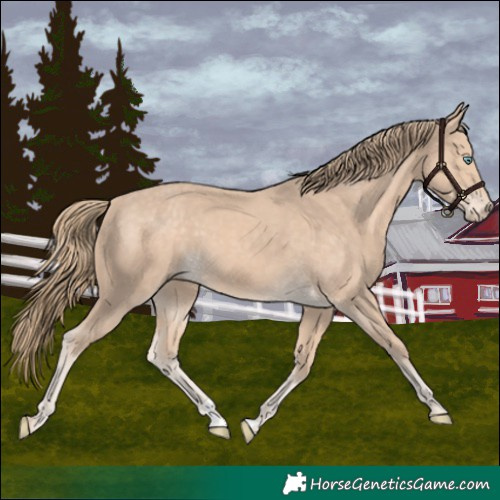 Horse Color:Perlino 