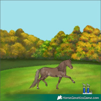 Horse Color:Liver Red Dun 