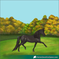 Horse Color:White Spotted Liver Chestnut 