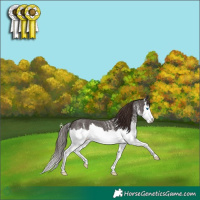 Horse Color:White Spotted Liver Chestnut Splash 