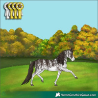 Horse Color:White Spotted Liver Chestnut 