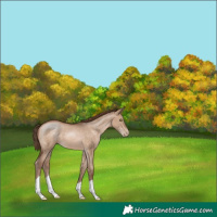 Horse Color:Brown Pearl Dun
