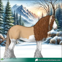 Horse Color:Gray Red Dun Splash 