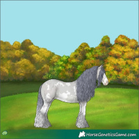 Horse Color:Watercolor White Spotted Amber Champagne Dun Splash 