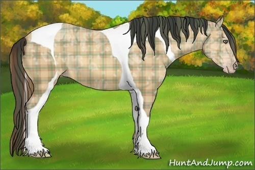 Horse Color:Plaid Amber Champagne Ice Tobiano