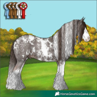 Horse Color:White Spotted Liver Chestnut Sabino Splash