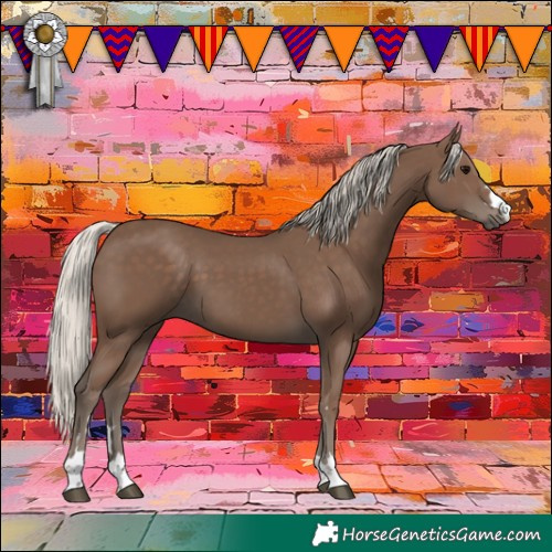 Horse Color:Silver Black 