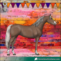 Horse Color:Silver Black