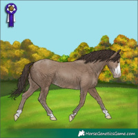Horse Color:Classic Champagne 